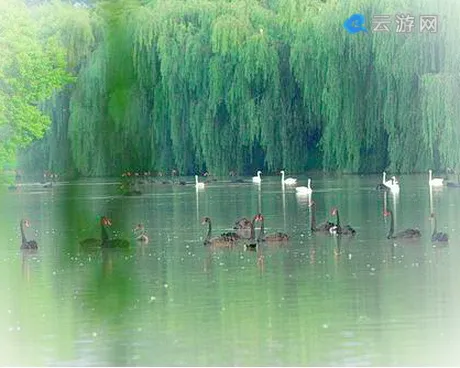 颍上迪沟生态旅游风景区