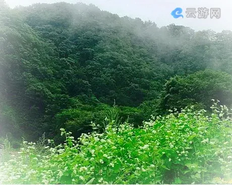 清原筐子沟生态风景区