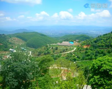 从化大金峰百花果景区