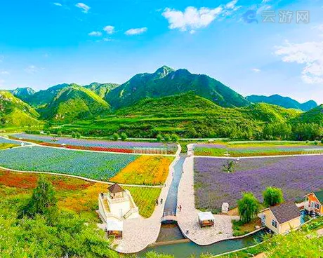 密云人间花海景区