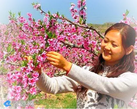 秦安县何湾万亩桃花园