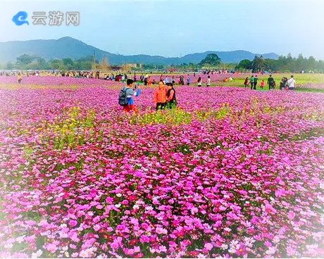 博罗那里花开主题公园