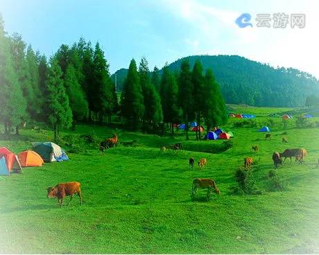 石柱千野草场景区