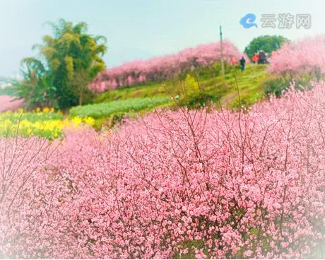 璧山炫彩万木源景区