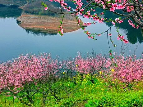 重庆永川圣水湖桃花岛