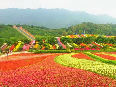 重庆铜梁黄桷门奇彩梦园