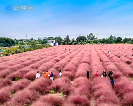 常州罗溪壕熊庄园