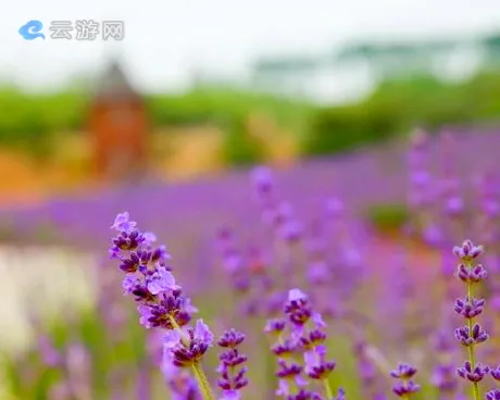 常州溧阳日日春农庄