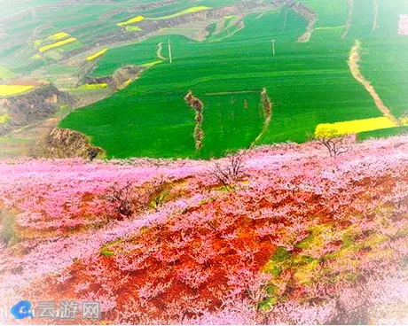 西安王莽生态农业观光园