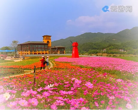 英山四季花海中华情园