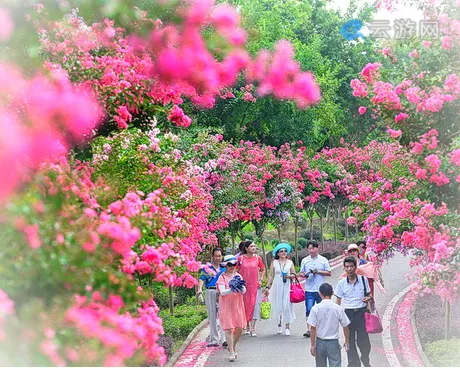 武汉紫薇都市田园