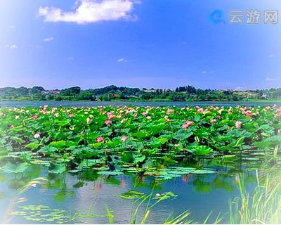 洪湖生态旅游风景区