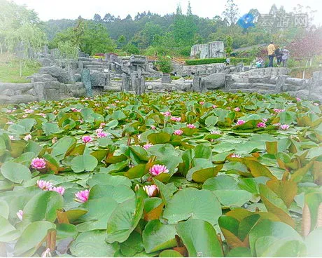 成都市彭州市中华蝴蝶生态城旅游景区