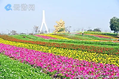 园博苑海洋岛大地花卉景观