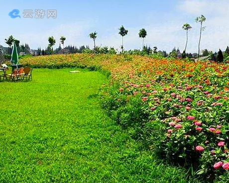 上海寻梦园香草农场