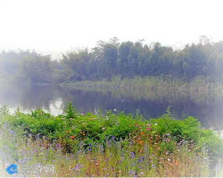 漳州郊野公园