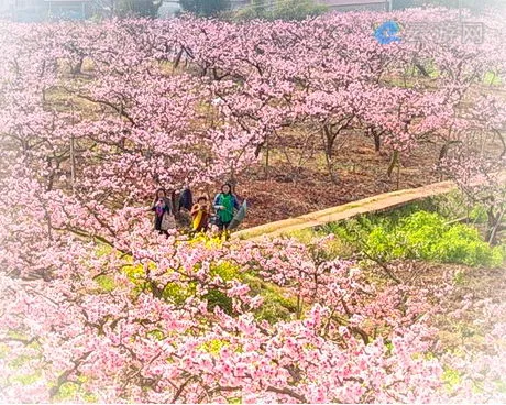 成都简阳东来桃源景区