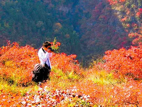 巫山县朝云公园