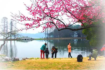 武汉东湖梅园景区