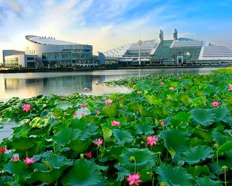 浙江大学校园