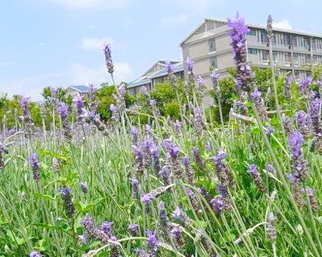 云南师范大学呈贡校区