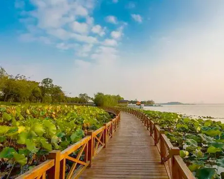 武汉后官湖湿地公园