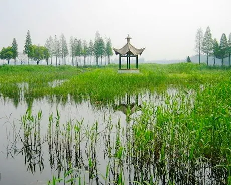 青西郊野公园