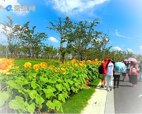 宁波植物园