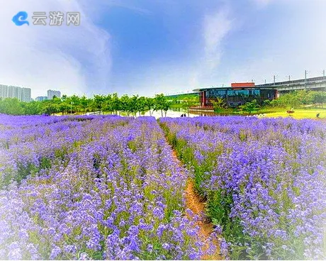 宁波植物园