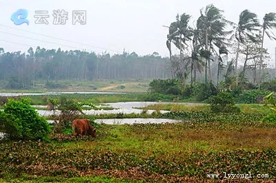 海口琼山区新潭村