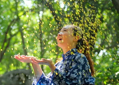 咸宁桂花源风景区