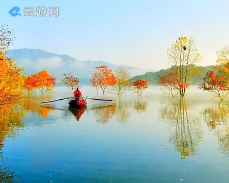 九资河镇红叶节