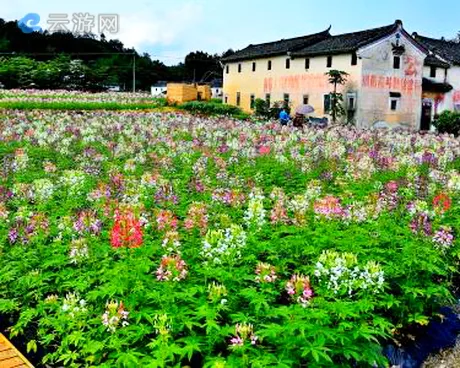 大埔县西河镇北塘村