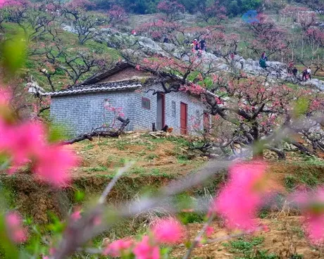 韶关翁源桃花谷