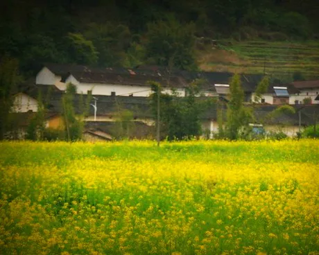 韶关曹角湾古村落