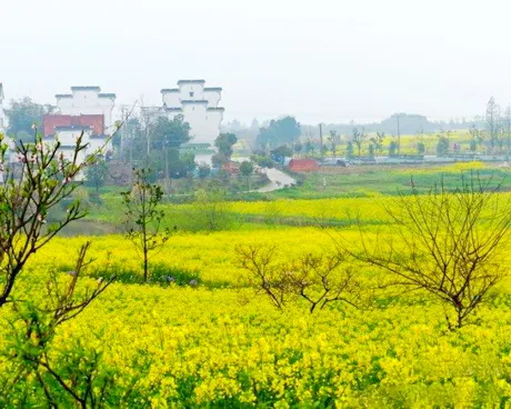 高淳大山村