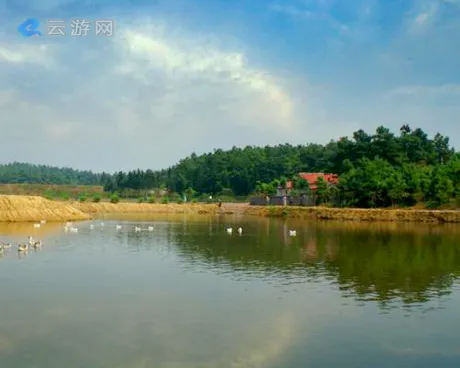 溧水晶桥镇枫香岭村