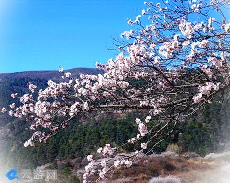 太原万柏林西山杜儿坪桃花沟