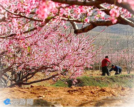 运城盐湖桃花岭