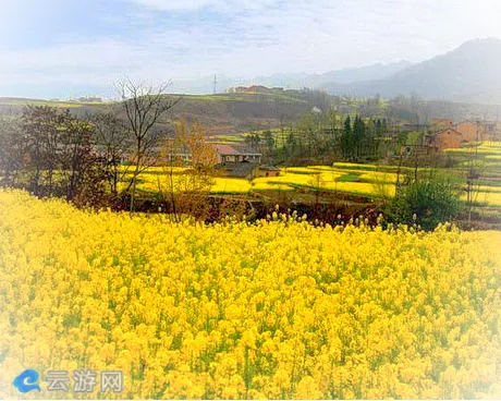 厦门同安蔗内村