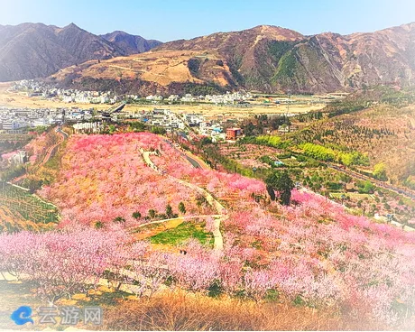 丹凤县桃花谷景区