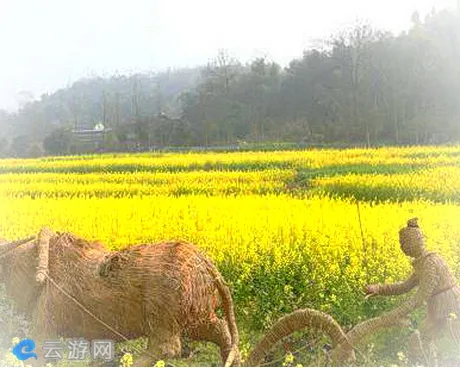 重庆沙坪坝花田筑梦景区