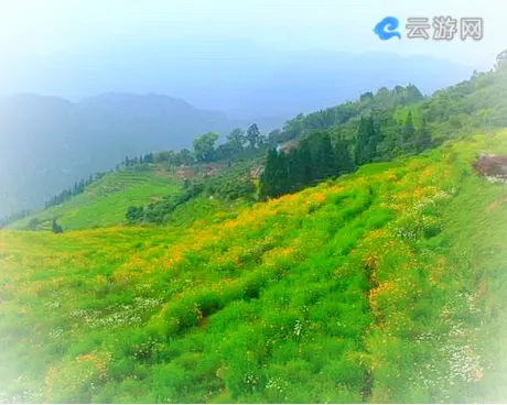 永泰云顶花海梯田