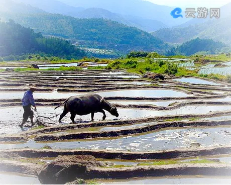 永定下洋初溪梯田