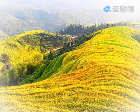 崇义上堡梯田风景区