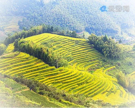 崇义上堡梯田风景区