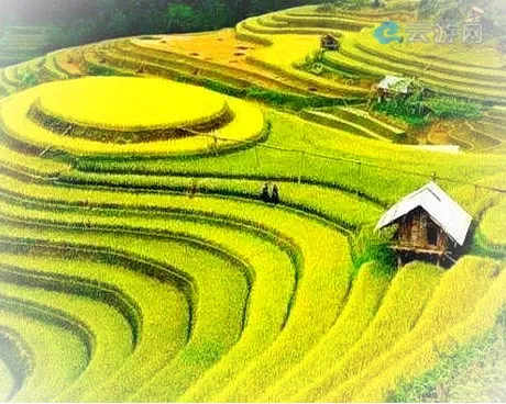 崇义上堡梯田风景区