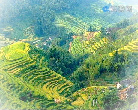 崇义上堡梯田风景区