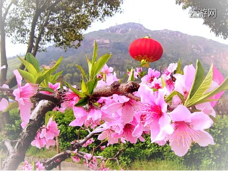 阳山桃花源景区