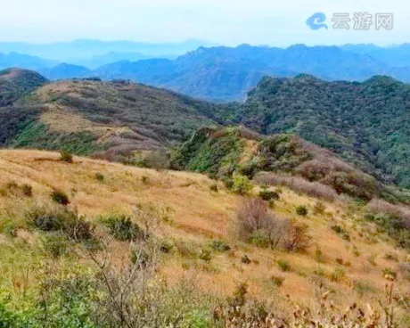 黄花坡游玩攻略 昌平黄花坡好玩吗